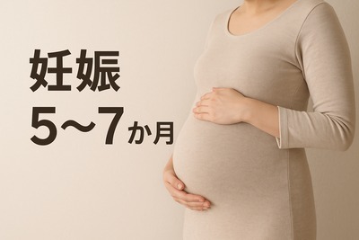 妊娠５～７か月