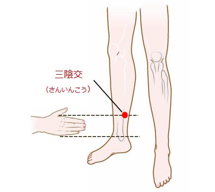 逆子の灸のツボ三陰交