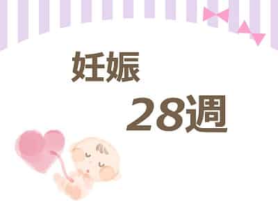 妊娠28週 妊娠28週