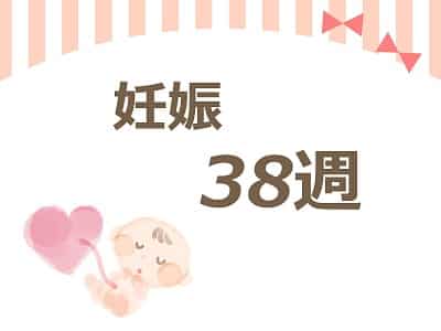 妊娠38週 妊娠38週