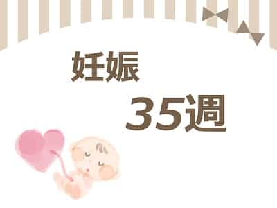 妊娠35週 妊娠35週
